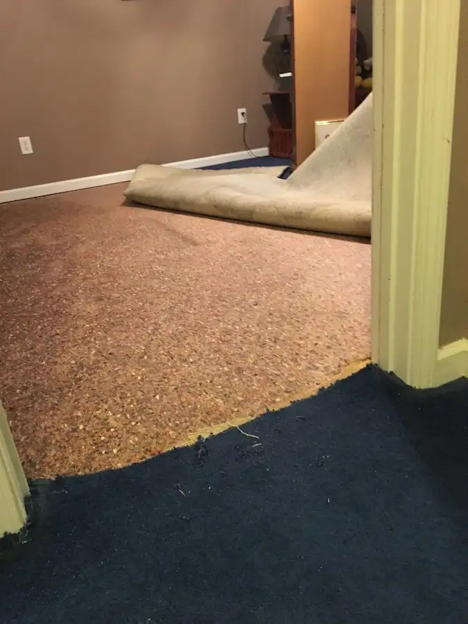 Carpet pad removal revealing water damage during Drying & Dehumidification in Neptune Beach