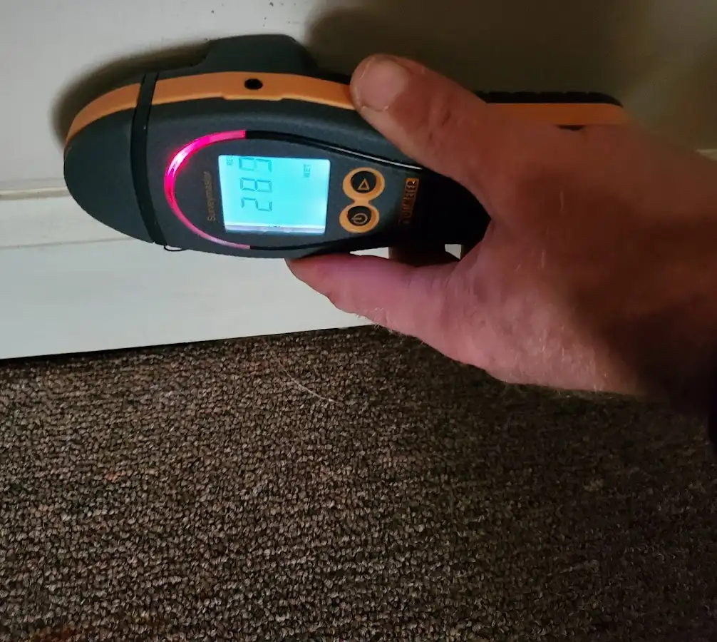 Moisture detection at baseboard during Mold Inspection & Testing in Neptune Beach